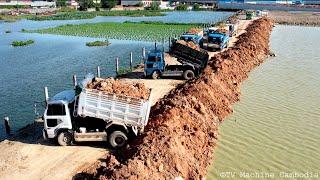 Perfectly Dozer Push Soil Into Water Step by Step | Mighty Komats'u Dozer Remove Soil Land Filling