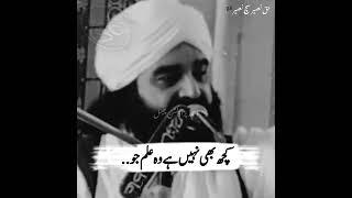 کچھ بھی نہیں ہے وہ علم جس کا باب العلم سے تعلق نہ ہو | Hazrat Khawaja Pir Syed Naseeruddin Naseer Ra