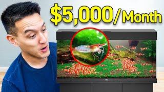 Making $5K/Month Breeding Shrimp in His Apartment (Side Hustle)