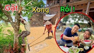 Ẩm Thực Vịt Om Sấu Ăn Mừng Nhà Bác Thông Gặt Xong Lúa | HUY ANH TV