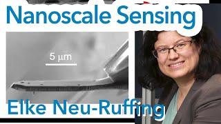 Novel approaches to nanoscale sensing using color centers in diamond | Elke Neu-Ruffing (RPTU)