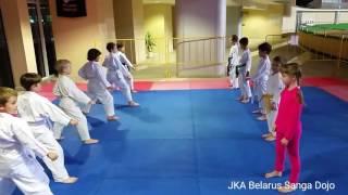 Sanbon Kumite