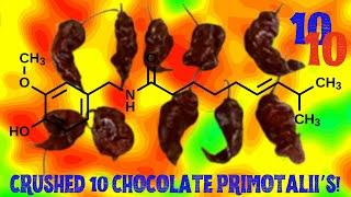 JSP KICKED 10 CHOCOLATE PRIMOTALII’s 🫏’s!