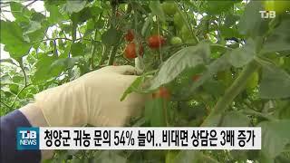 [21.06.14] 청양군 귀농 문의 54% 늘어..비대면상담은 3배 증가｜ TJB 대전·충남·세종뉴스