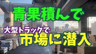 長距離大型トラック。青果を積んで激狭な大阪の市場へ潜入。