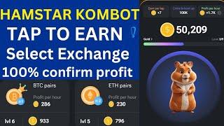 HAMSTAR KOMBOT all information | selection of exchange | 100% confirm profit | ARISH'S WORLD.