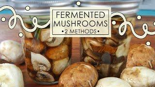 HOW TO FERMENT MUSHROOMS: RELEASE THEIR NUTRITIVE POWER! Sooo Delicious + Probiotic Powerhouse!