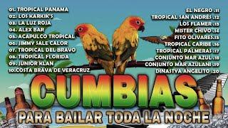 CUMBIAS TROPICALES PARA BAILARCUMBIAS TROPICALES 2024ACAPULCO TROPICAL,TROPICAL FLORIDA1