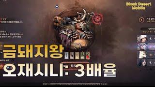 [Black Desert Mobile] 검은 사당 금돼지왕 소소한팁. 오재시니 3배율 보상은? | 아크메이지