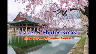 Travel & Photos Korea