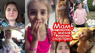 VLOG 3й день. Алисе выбили зуб в лагере
