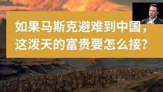 如果马斯克避难到中国，这泼天的富贵要怎么接？|美国总统特朗普|效率部