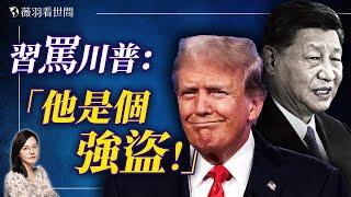 習近平眼中的川普；川普「反客為主」重返世界舞台中心；阿薩德政權倒台，中共也不遠了。｜薇羽看世間 20241209