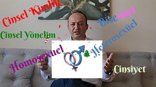 Homosexuel, Heterosexuel Bisexuel Nedir?