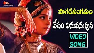 Vedam Anuvanuvuna Nadam  భారతనాట్యం shivarathri | Sagara Sangamam Movie |sadhusajjana bajana mandali