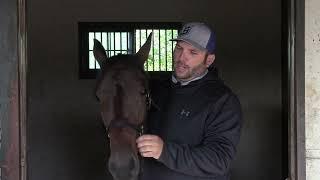 Ohio Harness Horsemen's Association Presents Freshman with Todd Luther