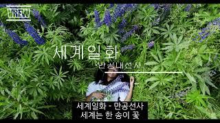 세계일화 - 만공대선사