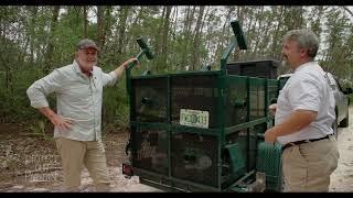 Relocating a Florida Bear | Protect Our Paradise | Discover Florida Channel