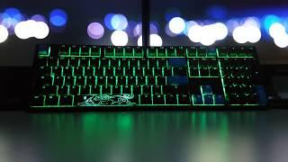 Ducky Shine 7 Blackout *Exclusive* Mechanical Keyboard Review/Demo