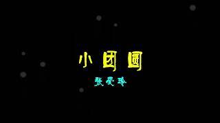 自传体【小团圆】 （张爱玲）