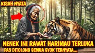 KISAH NYATA! NENEK INI RAWAT HARIMAU TERLUKA, PAS DITOLONG SEMUA SYOK TERNYATA DIA...