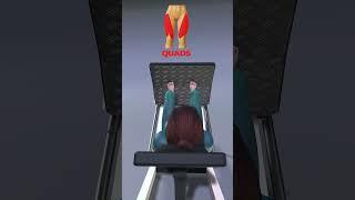 Beginner Gym Hack for Lower Body