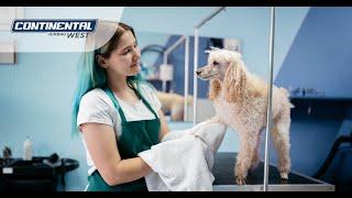 Animal Care | Transform Your Facility