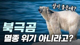 북극곰은 사실 멸종 위기가 아니라고?