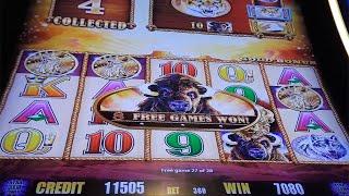 NICE SESSION WIN With A Lots Of Free Games On BUFFALO GOLD Slot Machine - SunFlower Slots