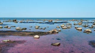 Summer Trip to the Island of Hiiumaa, Estonia