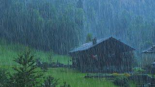 LIVE - Rain Sounds for Sleeping - Sound of Heavy Rainstorm & Thunder in the Misty Forest At Night