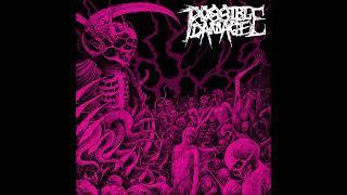 Possible Damage - Possible Damage (2024) Full Album HQ (Powerviolence/Grindcore)