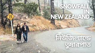 Snowfall in New Zealand | নিউজিল্যান্ডে তুষারপাত