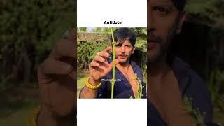 Viruses  And Their Antidotes  #viralvideo #amazingmemes #comedy #memereacts #newmemes #dailymemes
