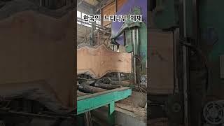 한국의 고사목 느티나무 제재 #우드슬랩 #원목테이블 #통나무 #보호수
