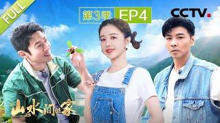 【Full】撒贝宁为仙居杨梅写打油诗，张晋爬树摘巫山脆李迎丰收 | CCTV「山水间的家 第三季」第4期 20240929