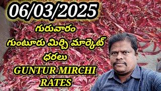 6 March 2025 GUNTUR MIRCHI MARKET RATES గుంటూరు మిర్చి మార్కెట్ ధరలు