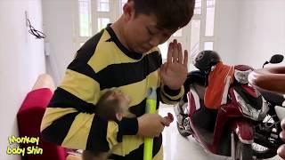 Monkey Baby Shin messes with Mr. Dia's altar | Cute animal videos