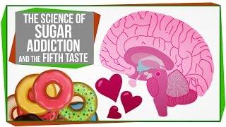 The Science of Sugar Addiction & The Fifth Taste