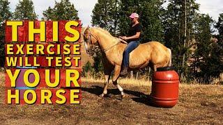 TRAIN A HORSE TO RIDE WESTERN(ONE HANDED)