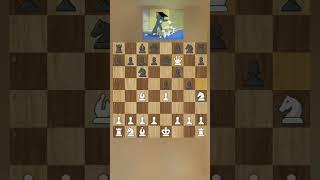 #Учимся играть в шахматы #chess #шахматы #chessgame #chessplayer #checkmate