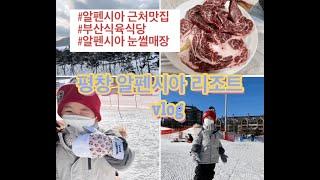 평창알펜시아눈썰매장|평창알펜시아근처맛집|부산식육식당|평창인터콘티넨탈호텔|평창여행vlog