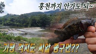 서울 근교 가평 숨은 꺽지 포인트 2곳 탐사!! Korean aucha perch fishing 