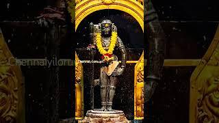 #murugan #muruganthunai #muruganarul #murugandevotes #arumugam #devotees #positivevibes #vadapalani