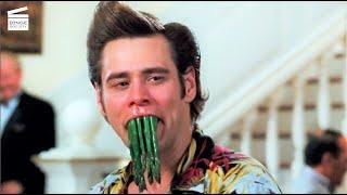 Ace Ventura: When Nature Calls: Ace Ventura enters society