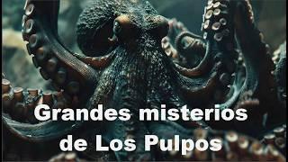 Mira porque el Pulpo es el Animal Mas Genial de los Mares