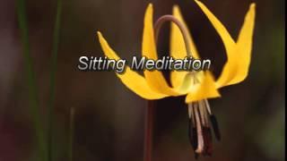 MBSR Sitting Meditation