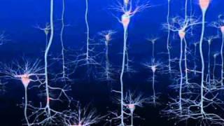 Firing Neurons | Cell Dance 2010, Public Outreach Video Winner