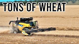 From Wheat to Chickpeas | Harvest 2024 | Vlog 325