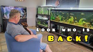 Local Fish Room Tour - Fanie's NEW Fish Room